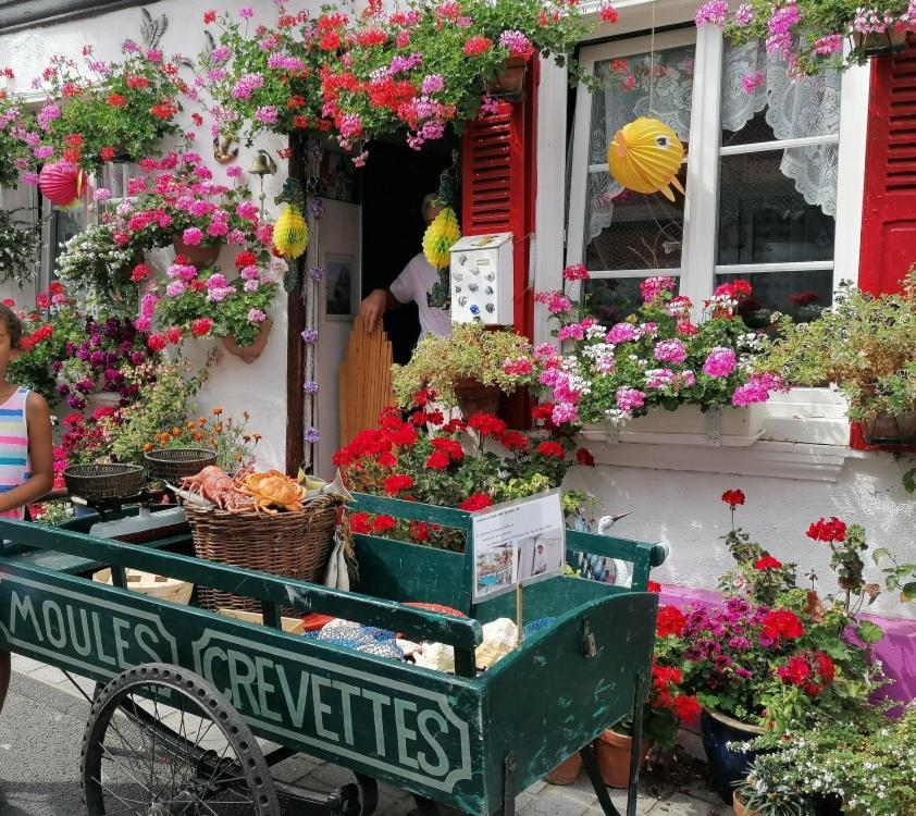 Charmant Appartement Avec Garage - "Le Calypso" Saint-Valéry-sur-Somme Exteriör bild